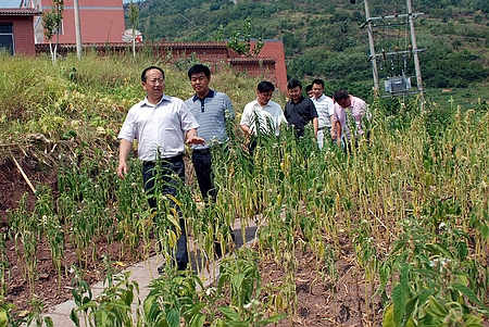 滕英明：加快工业小区建设 千方百计抗旱保苗
