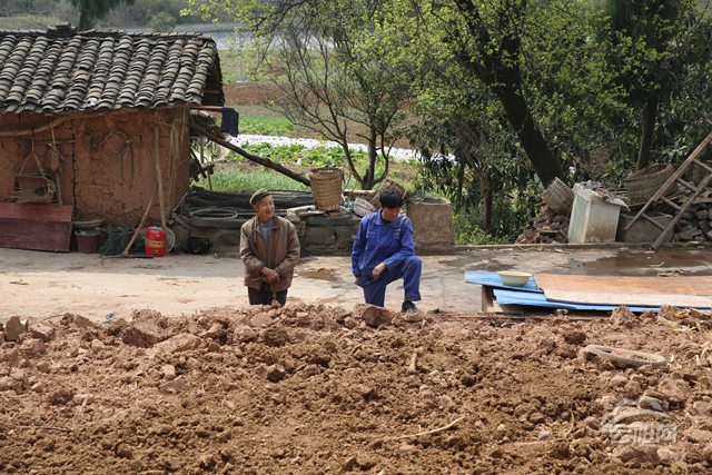 龙洞贫困户带病奋斗顽强活着 种葱年收入3万元