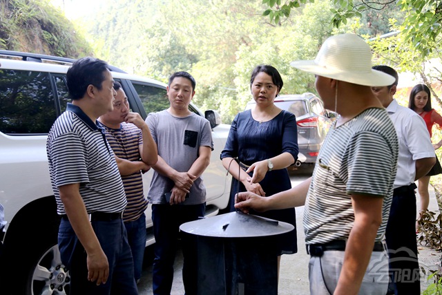 云阳网讯(记者 李旭忠)6月20日,副县长刘新民到云阳国有四十八槽林场